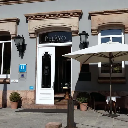 アルセア グラン ペラヨ 4*