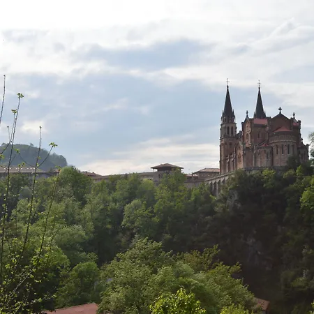 アルセア グラン ペラヨ コヴァドンガ