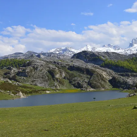 Hotel Arcea Gran Pelayo