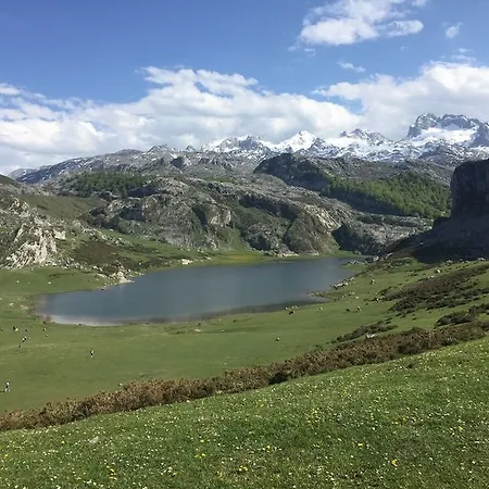 Hotel Arcea Gran Pelayo 4*