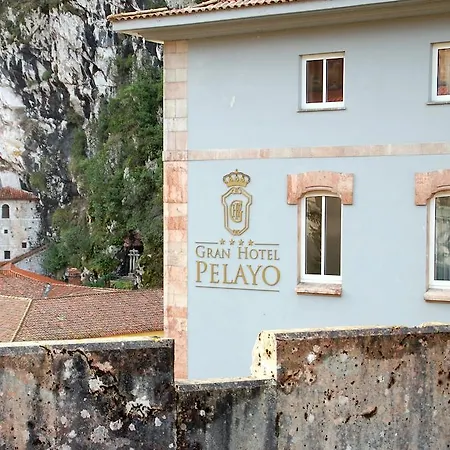 Hotel Arcea Gran Pelayo 4*