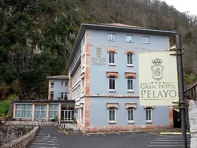 Hotel Arcea Gran Pelayo 4*