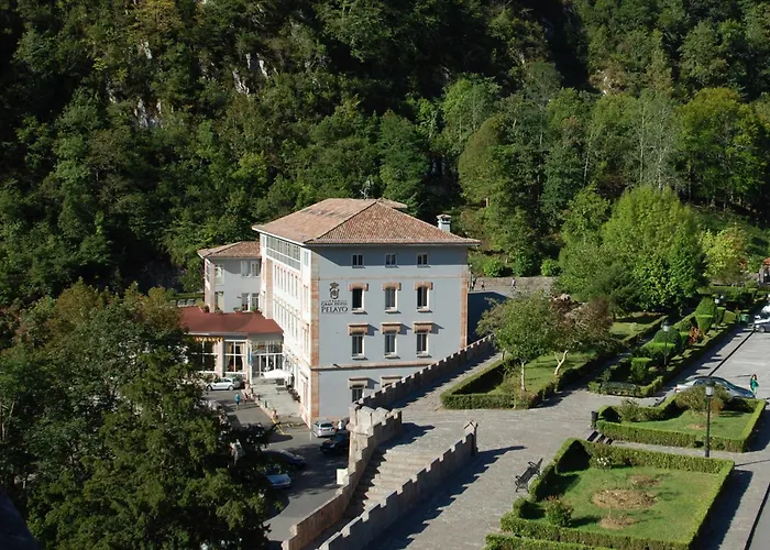 阿尔塞亚佩拉约大酒店 酒店 科瓦东加