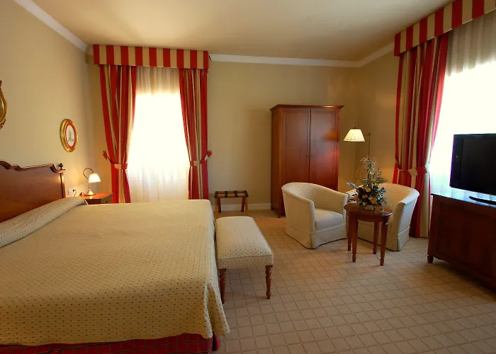 阿尔塞亚佩拉约大酒店 酒店 科瓦东加