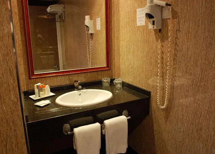 阿尔塞亚佩拉约大酒店 4* 科瓦东加