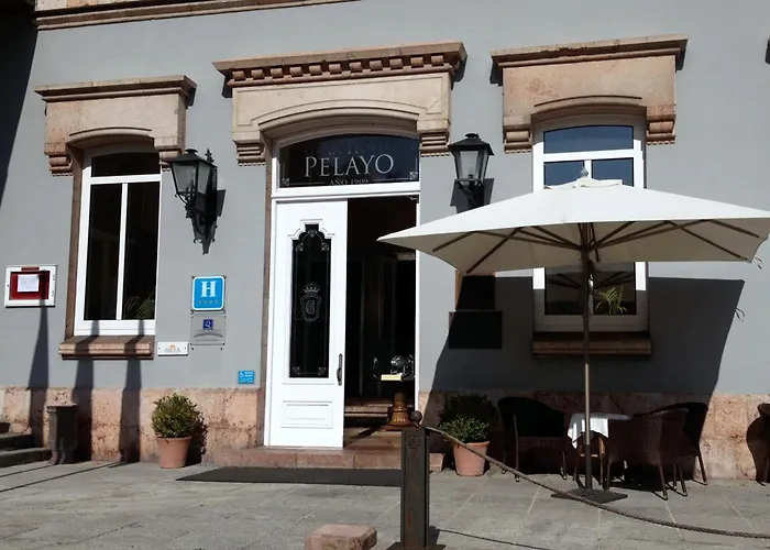 阿尔塞亚佩拉约大酒店 4*