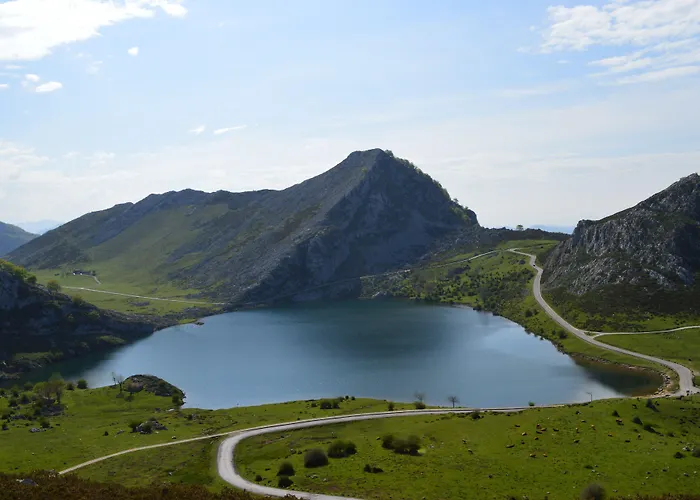 阿尔塞亚佩拉约大酒店 4* 科瓦东加