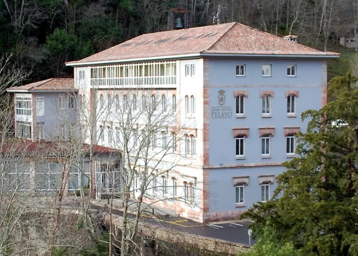 酒店 阿尔塞亚佩拉约大酒店