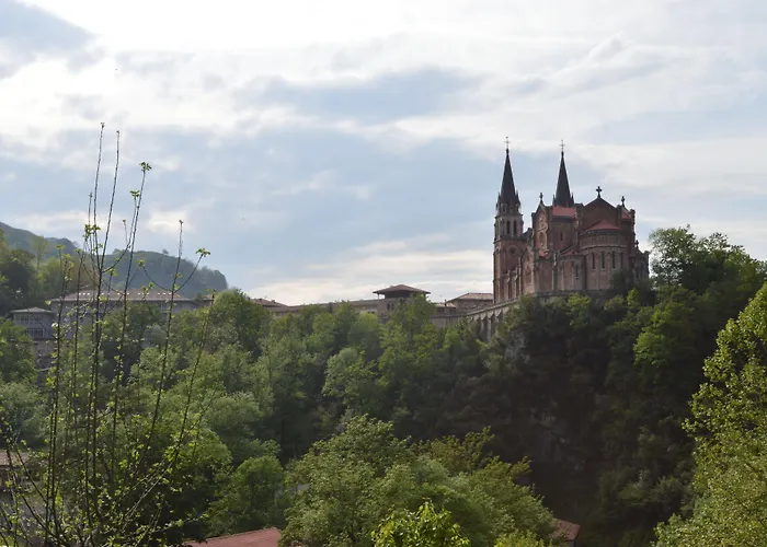 阿尔塞亚佩拉约大酒店 科瓦东加