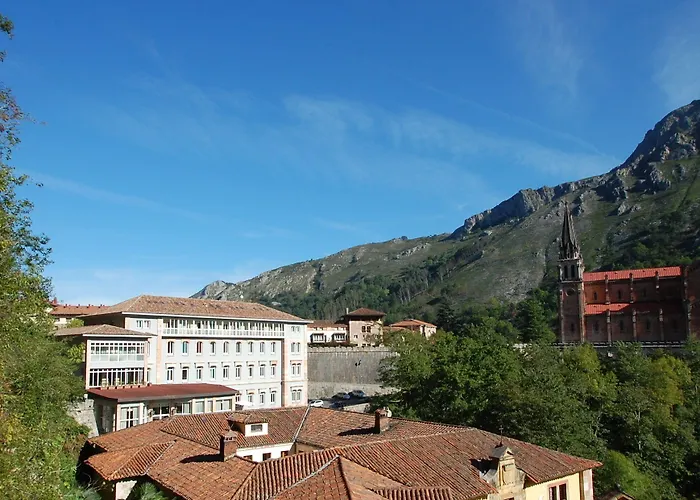 阿尔塞亚佩拉约大酒店 科瓦东加