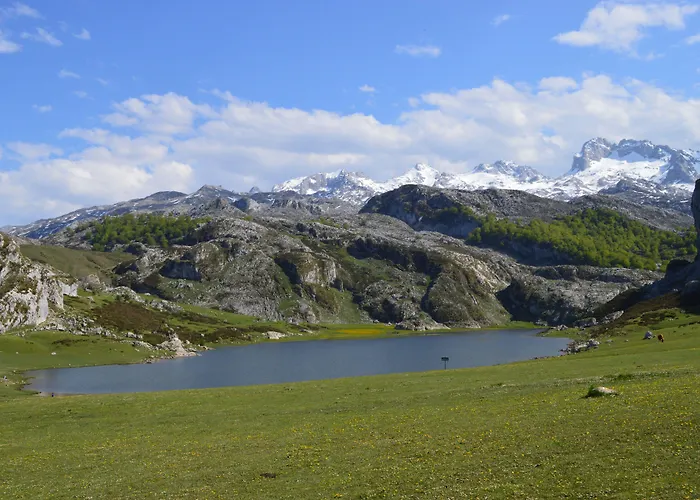 酒店 阿尔塞亚佩拉约大酒店