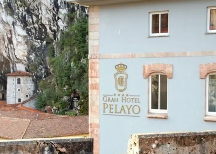 阿尔塞亚佩拉约大酒店 酒店 4*