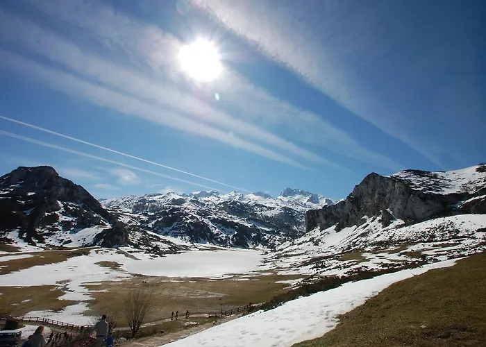 阿尔塞亚佩拉约大酒店 酒店