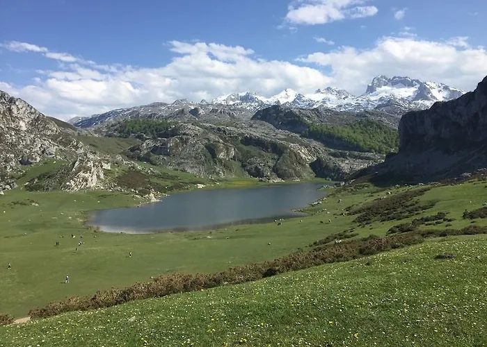 酒店 阿尔塞亚佩拉约大酒店 4*