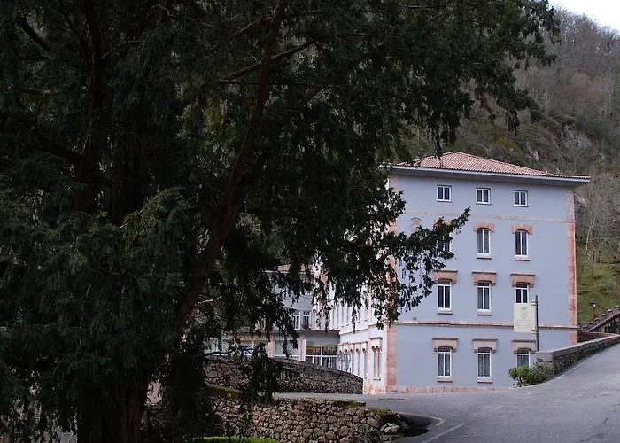 阿尔塞亚佩拉约大酒店 酒店 科瓦东加