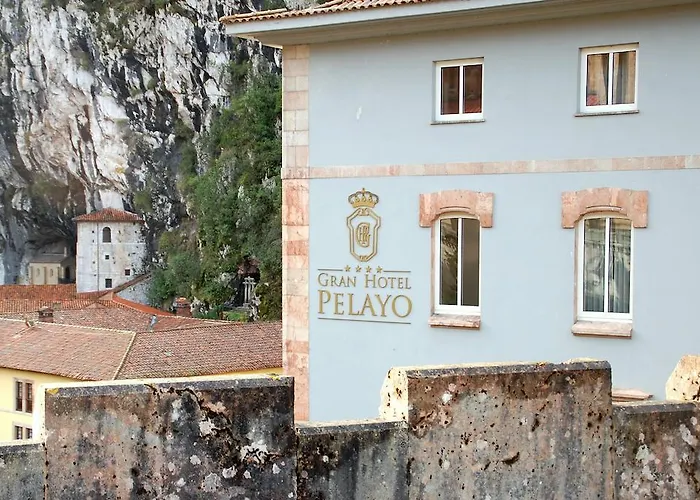 酒店 阿尔塞亚佩拉约大酒店 4*