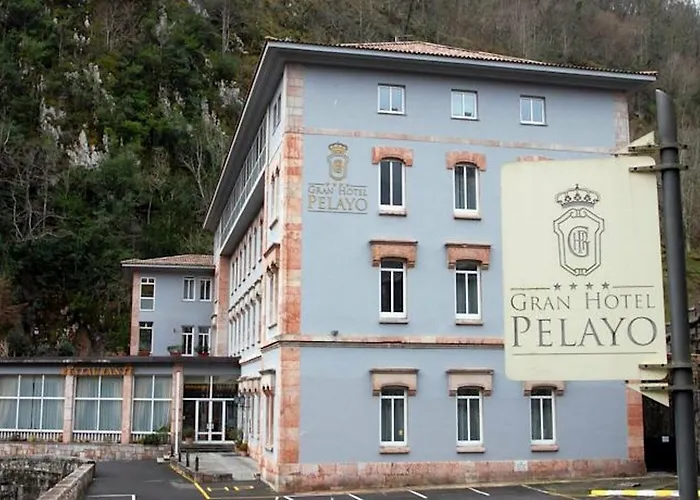 阿尔塞亚佩拉约大酒店 4*